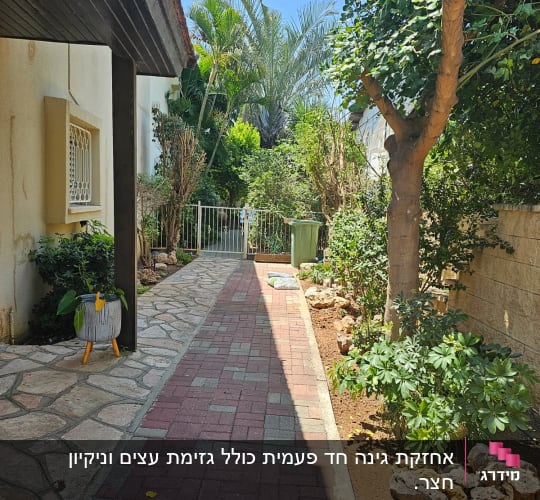 שביל מרוצף עם עצים ושיחים בצדדים